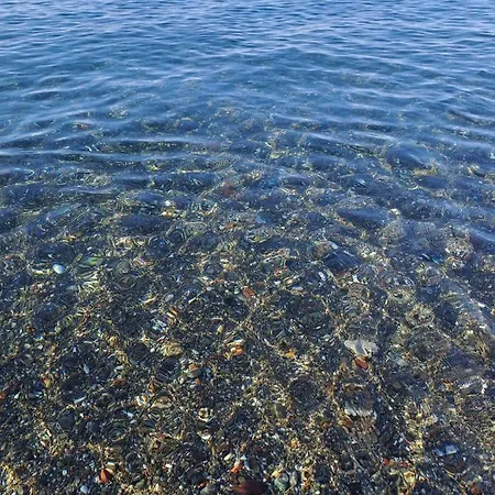 דירה 182 - Casa Degli Ulivi Cavi Di Lavagna, 50metri Dal Mare E Dalle Spiagge לאווניה