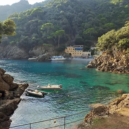 182 - Casa Degli Ulivi Cavi Di Lavagna, 50metri Dal Mare E Dalle Spiagge Apartment *