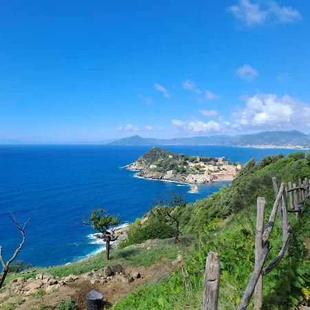 Apartment 182 - Casa Degli Ulivi Cavi Di Lavagna, 50metri Dal Mare E Dalle Spiagge